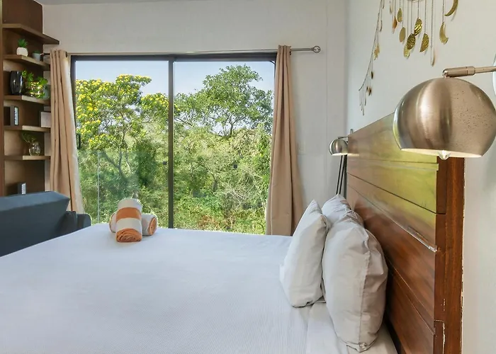 The Sunsets From The Comfortable Zulim